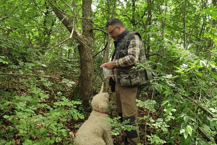 Truffle Hunting and Lunch Experience in a Restaurant