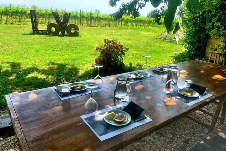 Family Winery Tour and Tasting in Grado