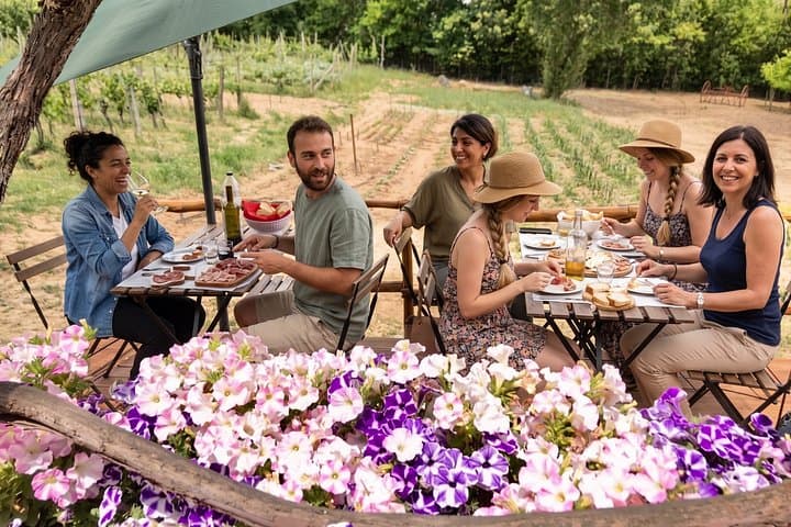 Montepulciano: Cinta Senese Farm Tour, Food Tasting & wine