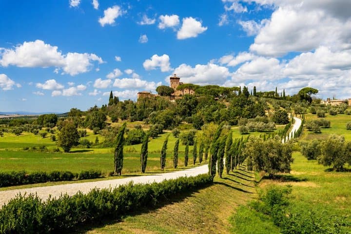 From Florence: Chianti Wine Experience & Tuscan Flavors