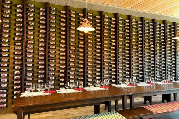 From Florence: Chianti Wine Experience with Tastings & Views