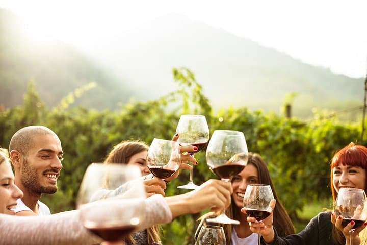 Lake Iseo & Franciacorta Winery. Scenic & Wine Tasting tour