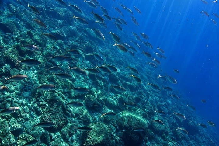 2 Hours Private Boat Tour Isola Bella Taormina Giardini Naxos