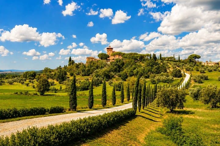 From Florence: Chianti Wine Experience & Tuscan Flavors