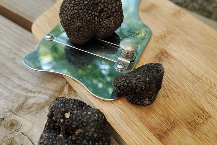 Truffle Hunting and Tasting of Local Products in Tuscany