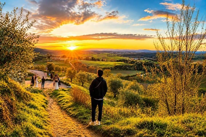 From Florence: Chianti Wine Experience with Tastings & Views