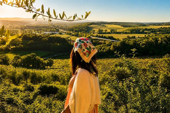 From Florence: Chianti Wine Experience & Tuscan Flavors