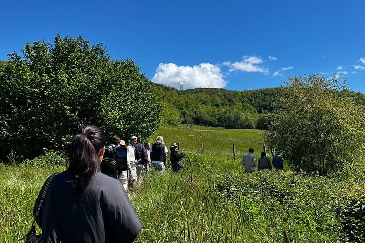 Truffle hunting, cooking class and lunch with overnight stay