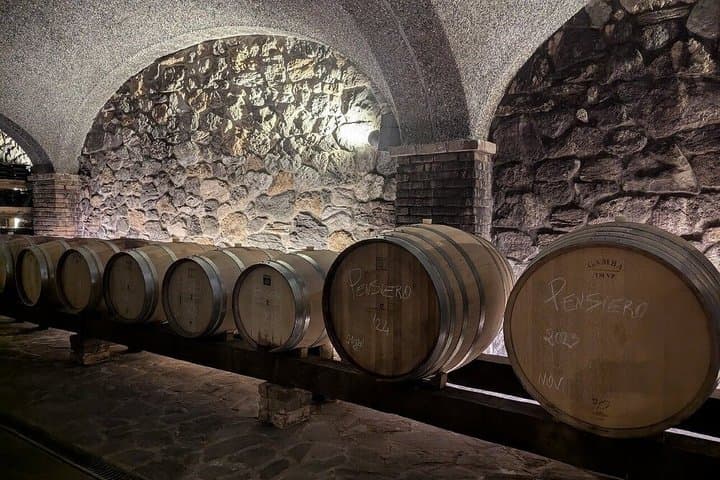 Parma Winery Tour, Wine Tasting & Local Delicacies with Transfer