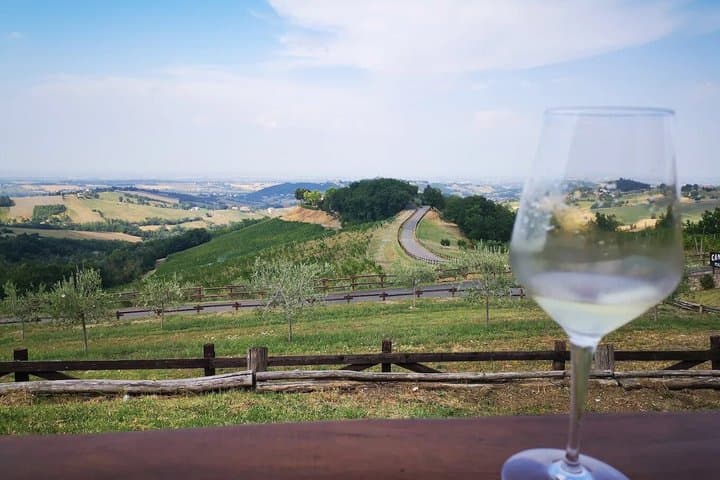 Parma Winery Tour, Wine Tasting & Local Delicacies with Transfer
