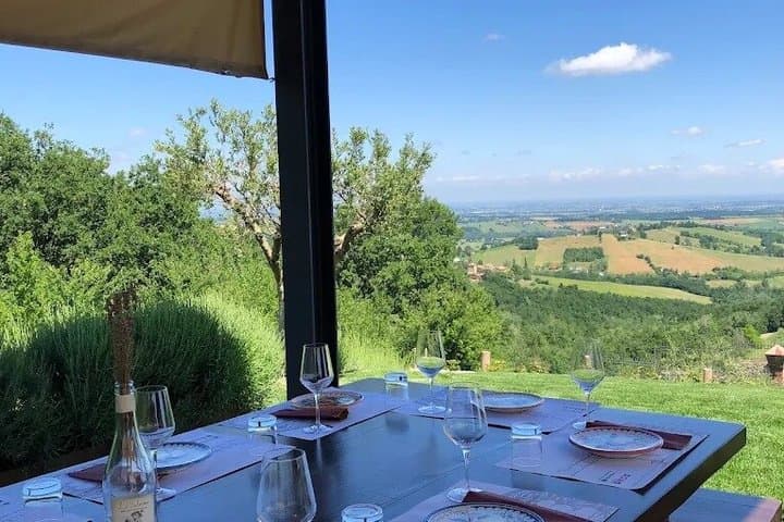 Parma Winery Tour, Wine Tasting & Local Delicacies with Transfer