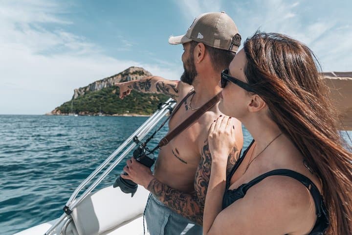 Golfo Aranci Dolphin Watching Tour at Sunset with Biologist