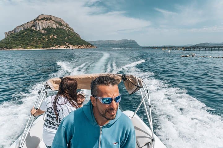 Golfo Aranci Dolphin Watching Tour at Sunset with Biologist