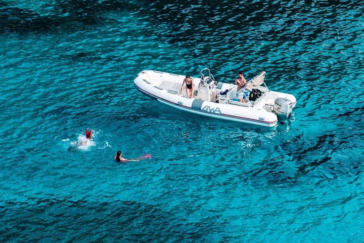 Golfo Aranci Dolphin Watching Tour at Sunset with Biologist