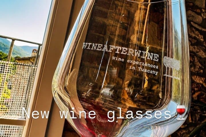 Private wine tasting at your home in Lucca with Expert sommelier