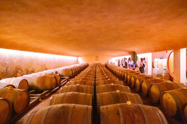 Chianti Hills E-Bike Tour with Tuscan Lunch & Two Wine Tastings