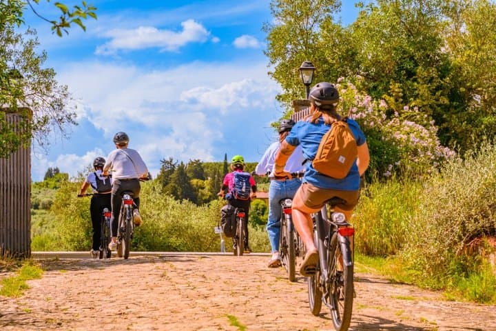 Chianti Hills E-Bike Tour with Tuscan Lunch & Two Wine Tastings