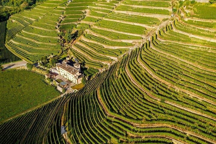 Private Lake Como & UNESCO Dry-stone Walls Vineyards