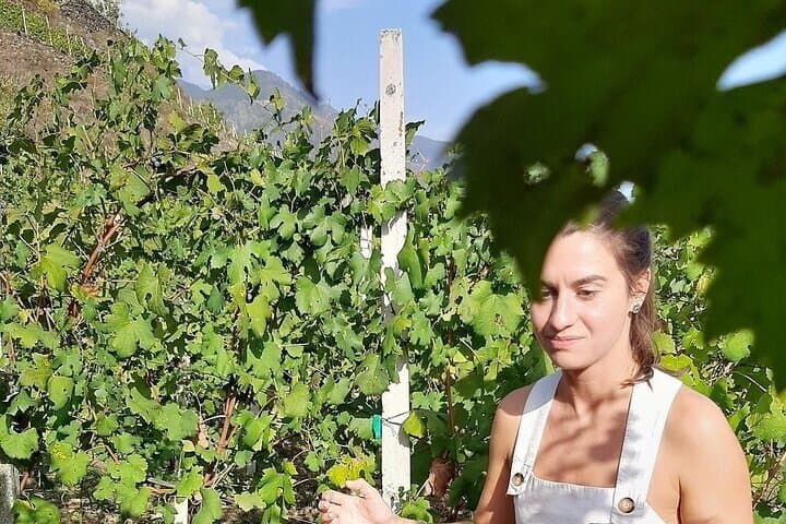 Private Lake Como & UNESCO Dry-stone Walls Vineyards