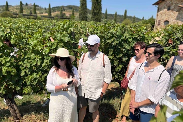 Small-Group Wine Tasting Experience in the Tuscan Countryside