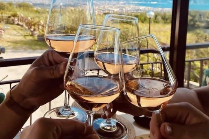 Mt. Vesuvius Winery Tour with Wine Tasting & Neapolitan Lunch