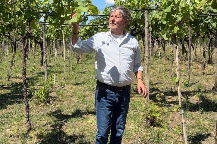 Mt. Vesuvius Winery Tour with Wine Tasting & Neapolitan Lunch