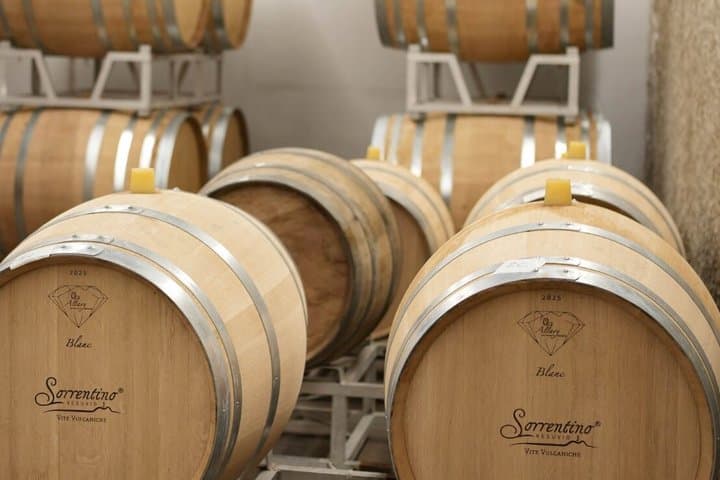 Mt. Vesuvius Winery Tour with Wine Tasting & Neapolitan Lunch