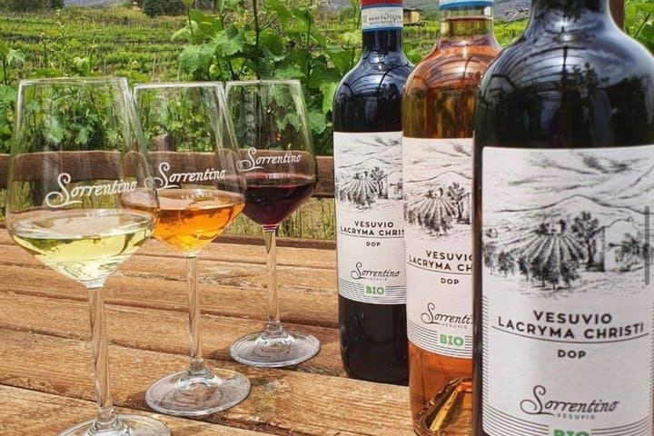 Mt. Vesuvius Winery Tour with Wine Tasting & Neapolitan Lunch