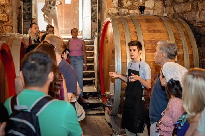Half-Day Chianti Wine Tasting from Florence with Two Wineries