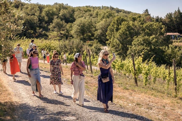Half-Day Chianti Wine Tasting from Florence with Two Wineries