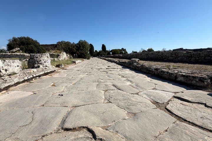 Herculaneum, Pompeii & Paestum Private Tour from Rome with lunch