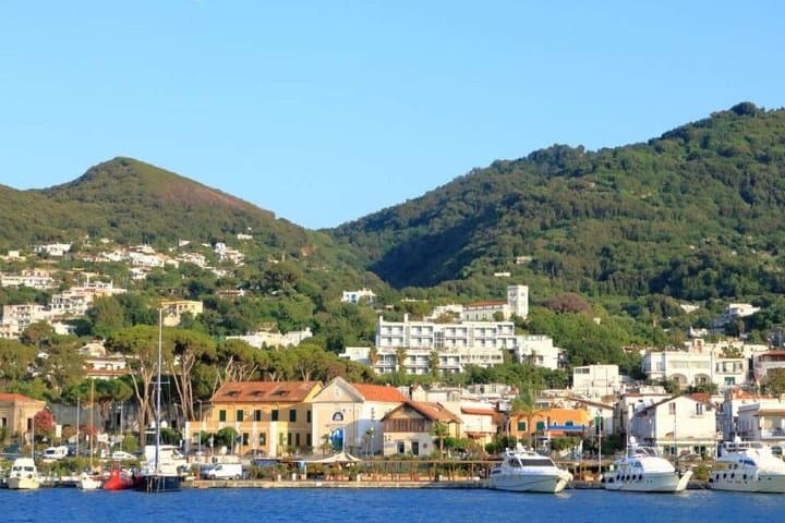 One Day Naples Forio Walking Hydrofoil Transfer Tour