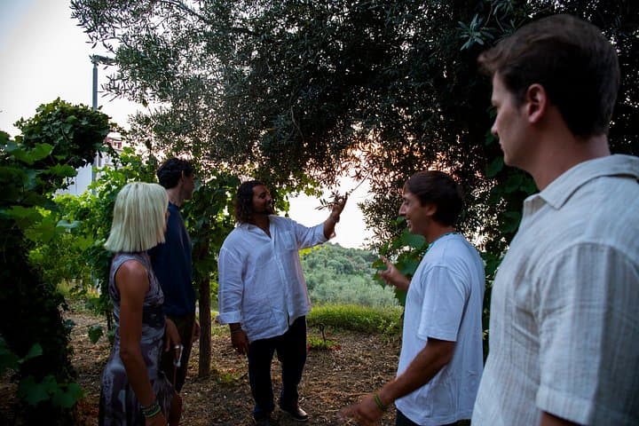 Casa Rispo Home Restaurant Sorrento : VineyardTour&WineTasting