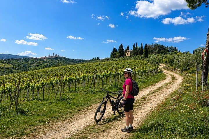 San Gimignano: eBike Tour Virtual-Guided