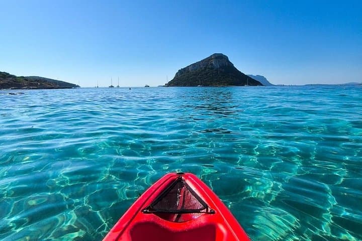 Golfo Aranci Kayak tour with aperitif and dolphin watching