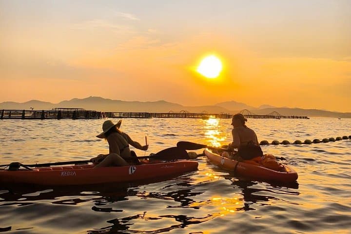 Golfo Aranci Kayak tour with aperitif and dolphin watching