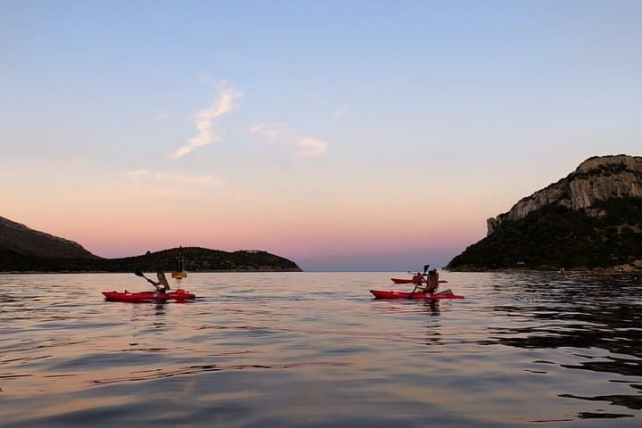 Golfo Aranci Kayak tour with aperitif and dolphin watching