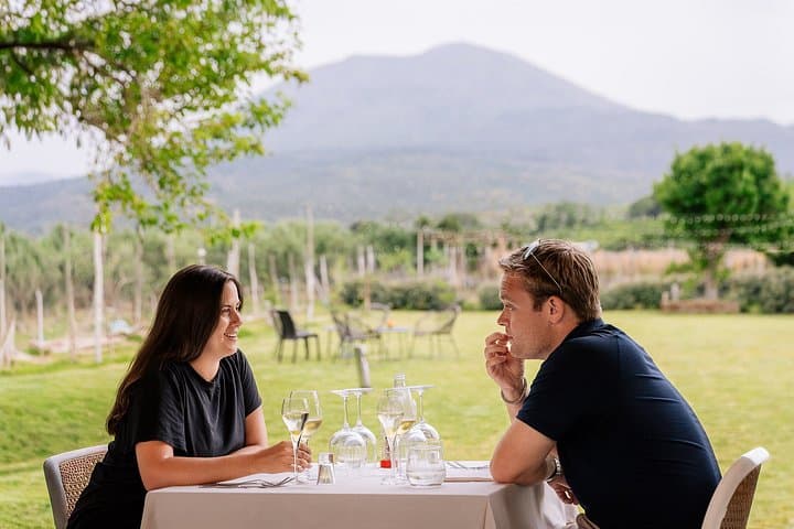 Guided Tour of Pompei, Lunch and Wine from Sorrento
