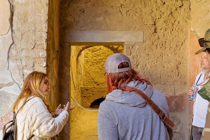Guided Tour of Pompei, Lunch and Wine from Sorrento