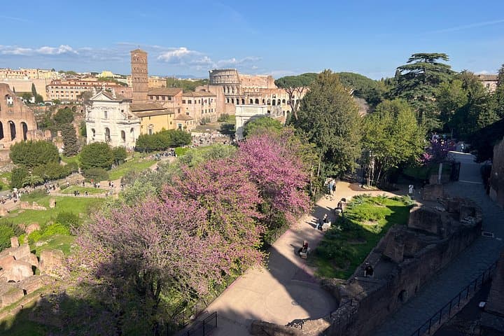 Roman Forum Pass with Domus Tiberiana Private Tour