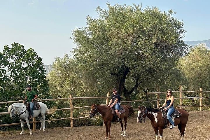 Horseback Riding in the Sorrento Hills with Aperitif