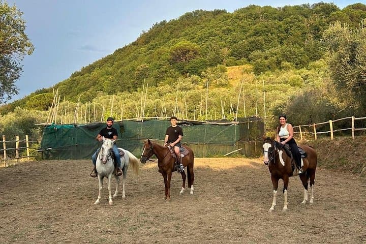 Horseback Riding in the Sorrento Hills with Aperitif