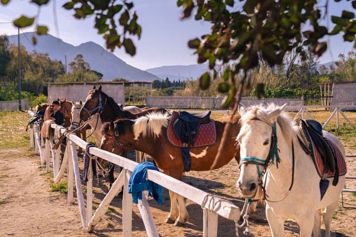 Horse Riding at the Beach in Orosei