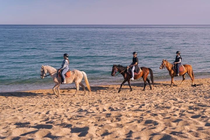 Horse Riding at the Beach in Orosei