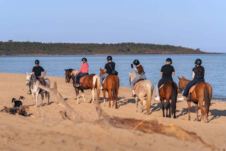 Horse Riding at the Beach in Orosei
