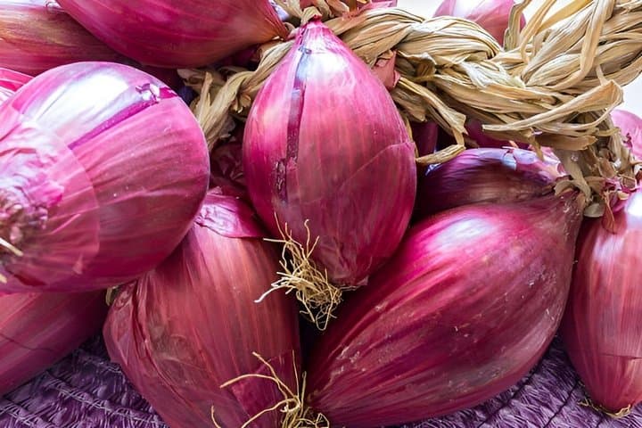 Wonderful Calabria in 8 Days between Sea, History, and Flavors