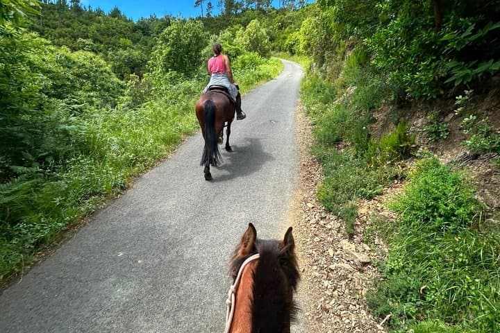 Horse ride on the coast of Monterosso al Mare Cinque Terre