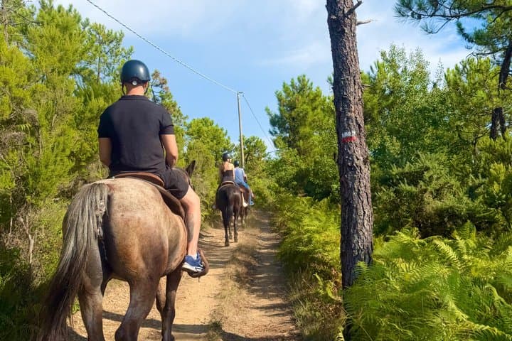 Horse ride on the coast of Monterosso al Mare Cinque Terre