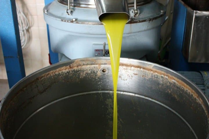 Martina Franca Olive Oil Mill Tour and Tasting